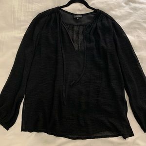 Aritzia Sheer Crinkle Blouse